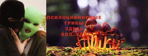 гашиш Дмитриев