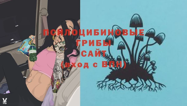 спайс Магас