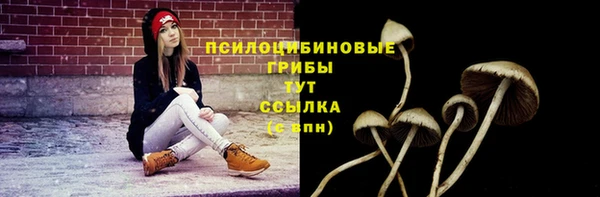 амф Магадан