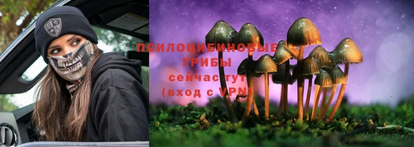спайс Магас