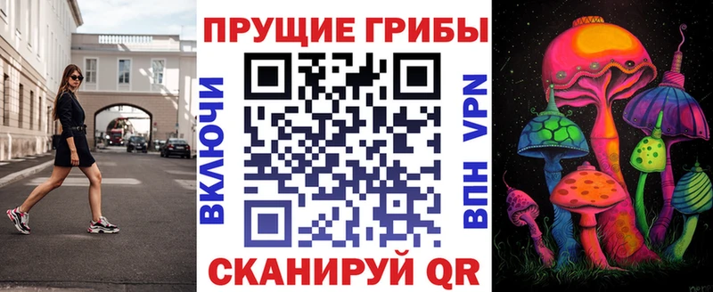 Псилоцибиновые грибы прущие грибы  купить   Донецк 