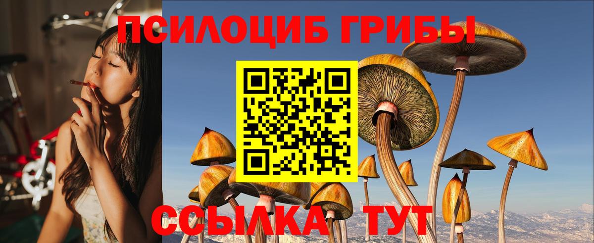 Псилоцибиновые грибы GOLDEN TEACHER Донецк