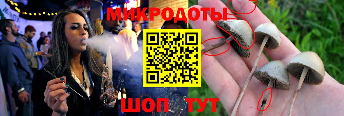 Донецк  Галлюциногенные грибы ЛСД  Псилоцибиновые грибы Psilocybe  Вход с VPN 